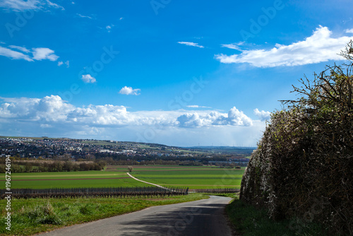 Horizontal countryside road through fields and vineyards with distant town.