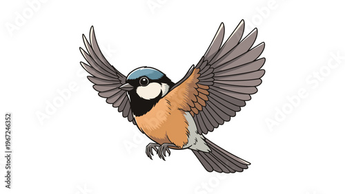 Small colorful bird with outstretched wings flies gracefully through the air in a detailed cartoon style on a white background.
