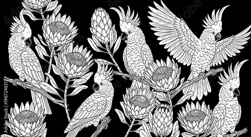 A black and white illustration of cockatoos on flowers
