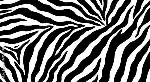A Close-Up View of a Zebra's Black and White Stripes