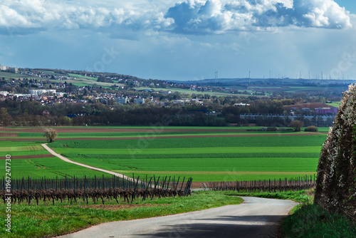 Horizontal countryside road through fields and vineyards with distant town.