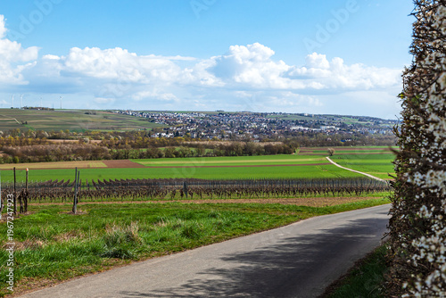 Horizontal countryside road through fields and vineyards with distant town.