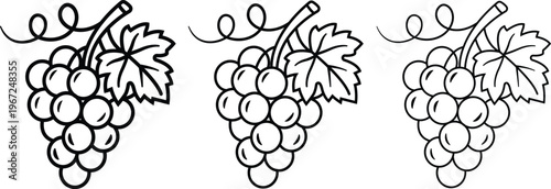 Grapes Outline Icon Set Minimal Line Grape Icons for Fruit, Wine, Agriculture and Healthy Food Design