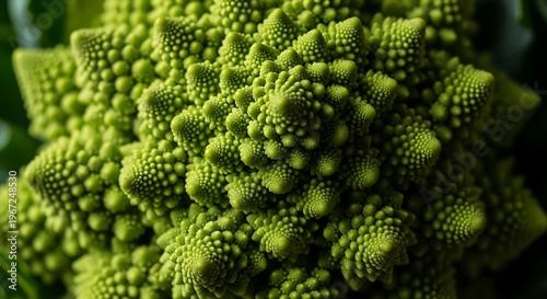 Close-up of Romanesco broccoli showcasing its natural fractal spiral pattern. Fibonacci sequence