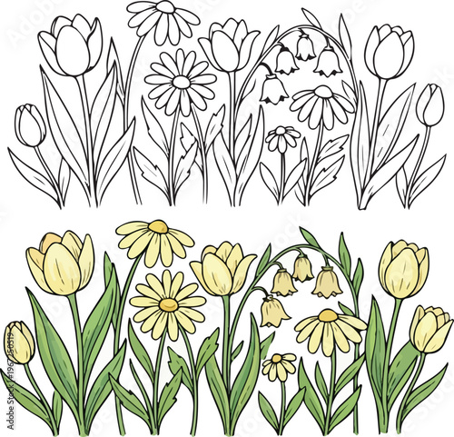Handdrawn spring flowers collection with tulips and daisies isolated