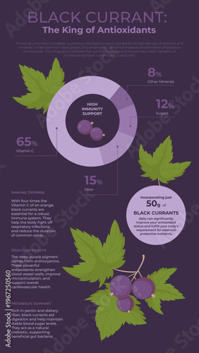 Black Currant Nutrition Facts Infographic. Healthy Berry Benefits on Dark Purple Background with Real Data Doughnut Chart, Numbers and Text Blocks and Botanical Drawing. Vertical Vector Illustration.