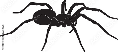 Black spider silhouette with eight legs and hairy texture