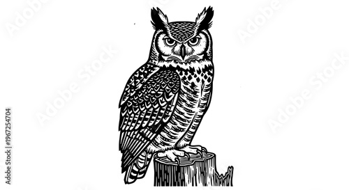 Striking Black and White Woodcut Style Illustration of a Fierce Owl