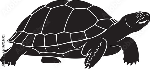 Black turtle silhouette with white outline animal