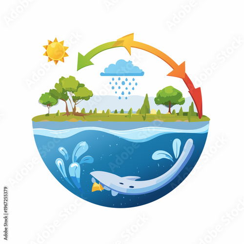 Wasserkreislauf Natur