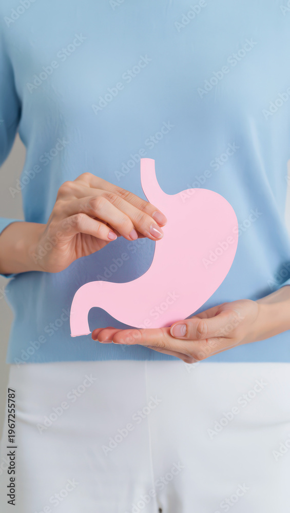 Fototapeta premium Person holding pink stomach model for stomach health awareness, digestive care education, gi wellness prevention, gut health guidance, medical nutrition support, patient counseling, screening