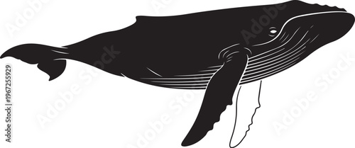 Black whale silhouette with white lines animal