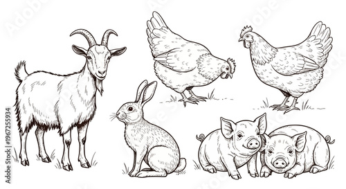 Farm Animals Including Goat Chicken Rabbit Pig.