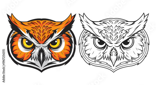 Owl Illustration Head with Colorful Design.
