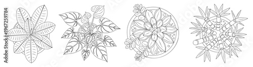 Set of stylized plant illustrations in black ink. Symmetrical patterns dominate each design. Leaves and flowers appear complex and ornate. Botanical motifs radiate from central points