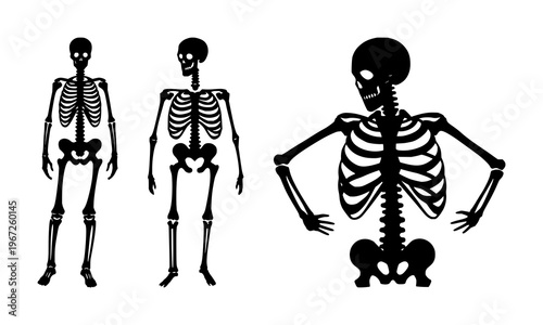 Human bone skeleton icon set with solid black line art design featuring anatomy, skeleton, medical illustration with healthcare and education