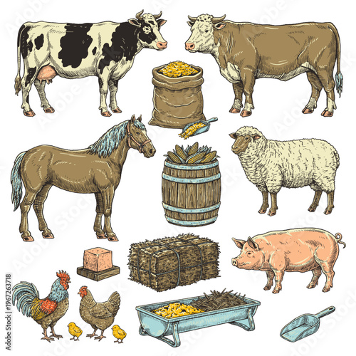 A complete collection of farm animals and feeding tools illustrated in detailed vintage color style