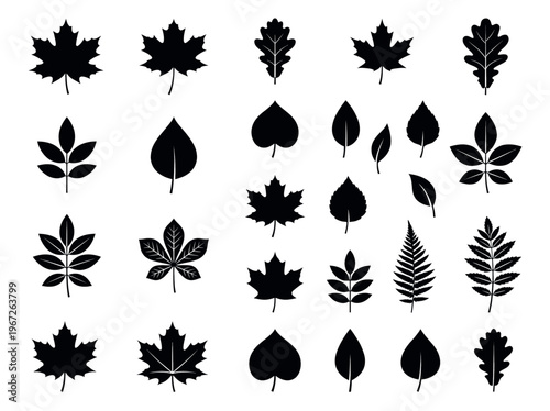 Collection of various black silhouette leaves representing different tree species and autumn foliage.