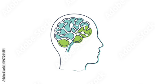 Brain anatomy illustration with human head.