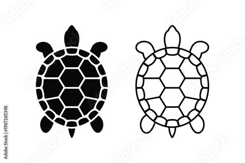 turtle shell anatomy comparison illustration, detailed diagram showing carapace and plastron structure with labeled sections for biology education zoology study and scientific vector illustration.