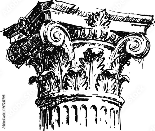 Detailed corinthian column capital sketch with acanthus leaves and volutes in classical architectural