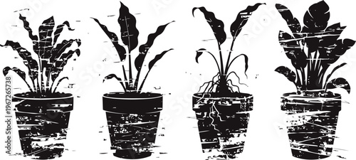 Four potted plants with large leaves silhouette, rustic hand drawn garden and home decor illustration
