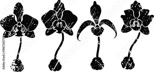Orchid flower silhouettes set tropical exotic plant botanical design collection