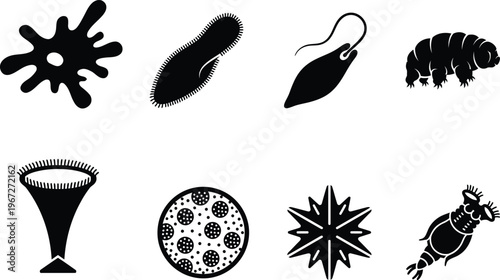 Microorganisms silhouettes vector set featuring amoeba paramecium tardigrade euglena and rotifer icons for microbiology science education laboratory research and biology design