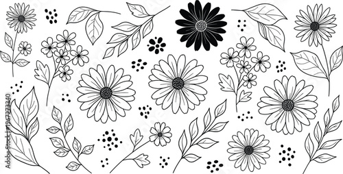A hand drawn vector illustration set of spring garden flowers and leaves in black line art for coloring books wedding invitations and botanical nature designs.