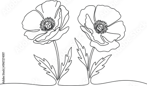Minimalist line art poppy flowers illustration, black and white floral drawing, botanical outline design for coloring page, elegant nature artwork