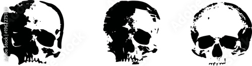 three detailed human skull illustrations in black and white, front and side views, anatomical study