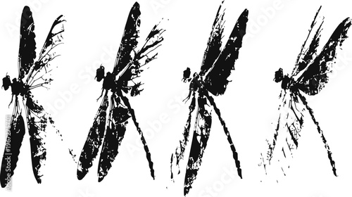 black silhouette set of dragonflies in different angles with detailed delicate wings