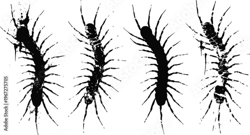 Silhouettes of centipedes with numerous legs and segmented bodies on white background