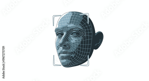 Digital face scan for biometric identification and security.