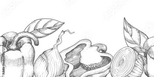 Seamless border of bell peppers and onions. Vector ink styled handmade illustration. For packaging design, cards, cover, prints, product labels and fabric.