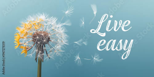 A dandelion with the text 