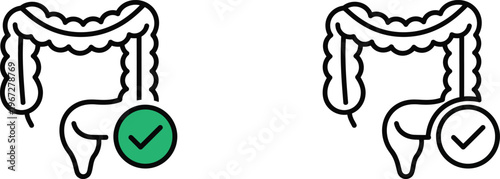 Vector illustration of human large intestine with green check mark
