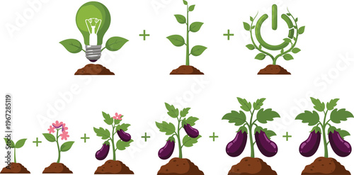 Plant growth process vector illustration set with seedling stages, eco light bulb concept, and eggplant plant development sequence
