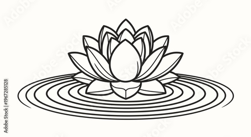 Lotus Flower Water Plant Blossom.