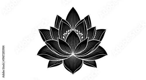 Black and white lotus flower illustration.