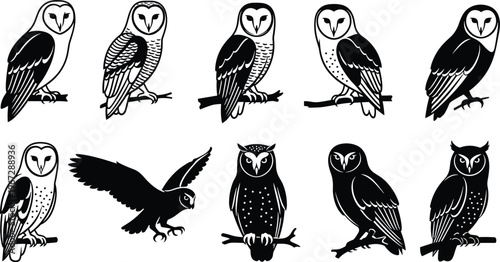 Barn Owl and Wild Bird Vector Silhouette Set Featuring Various Owls Perching on Branches and Flying for Nature Wildlife Design
