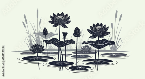 Dark purple lotus flowers in water.