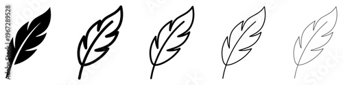 Set of black feathers in various styles: from solid silhouette to thin outline, isolated on a white background. Vector illustration.