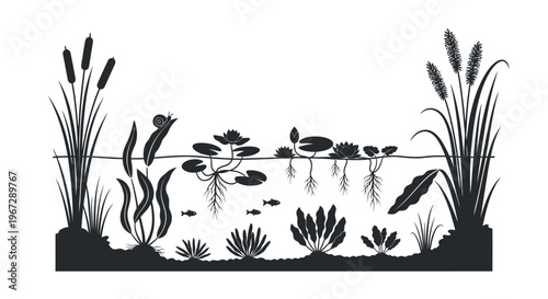 Black silhouette of aquatic plants and fish.