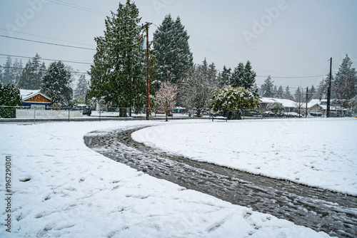 Snow At Burien Park 4