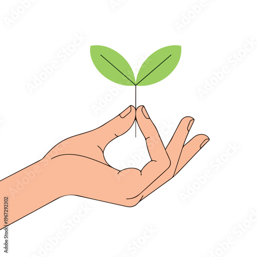 hands holding a green leaf
