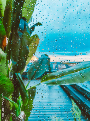 Raindrops on a window glass against the backdrop of tropical green leaves and blue sky - an atmospheric view of nature on a rainy day through wet glass.