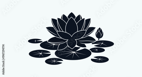 Black Lotus Flower Water Plant.