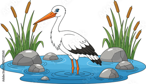 Stork in Water with Reeds and Rocks for Nature, Wildlife, and Wetland Illustration