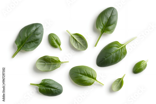 Spinach leaves on white background green isolated
